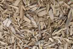 biomass boilers Eldernell